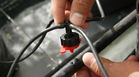 Adaptador gotero 4 Salidas para conectar MICROTUBO a GOTEROS de riego. 500 Unidades