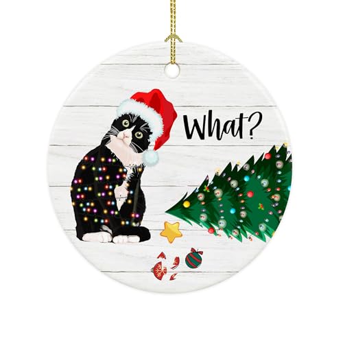 WOCONWOR Tuxedo Cat Ornaments, Funny Cat Christmas, Xmas Ornaments, Christmas Tree Hanging, Ceramic Christmas Ornament