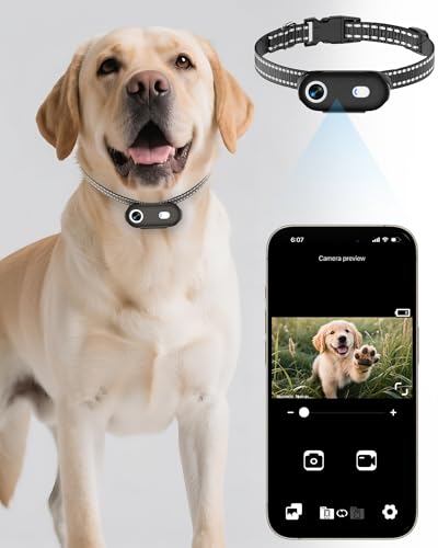 Image of Dog & Cat Camera Collar with Phone APP,1080P HD Video Recording,Easy to Check Videos on APP, M-Size Cordless Dog Collar Cameras,Rechargeable Pet POV Cam