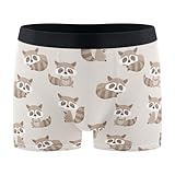 ZZKKO Cute Raccoon Men's Underwear,Men's Boxer Briefs Underwear For Mens Cotton Trunks Underwear Soft and Comfortable XL