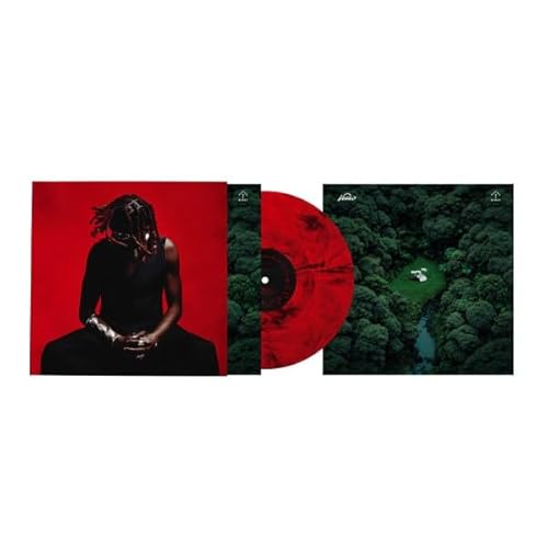 Pochette de House of Birds