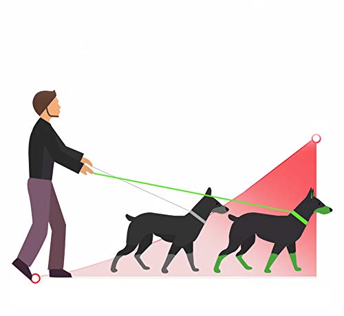 Fuxiang Pettorina per Gatti con Guinzaglio