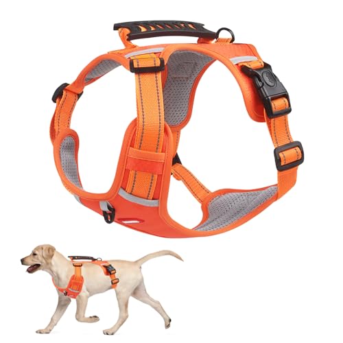 1 Premium No-Pull Dog Harness with Padded Handle
