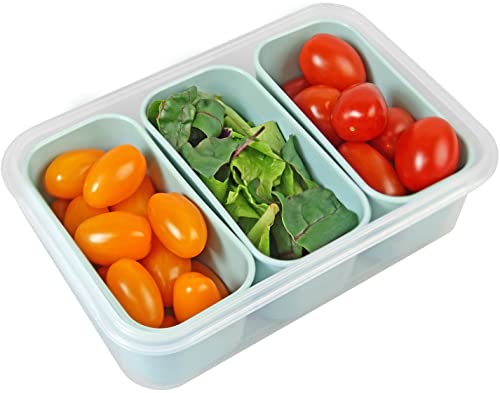 Carrotez Food Storage Container, 3 Compartment Food Containers, Portion Control Container, Meal Prep Container, Snack Container, Microwave Safe, Bpa Free, Airtight Lids, 4.64 Cup (1100Ml) #TOP1