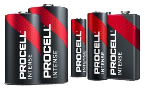 Piles LR20 carton de 60 unités pour ne plus jamais manquer d'énergie