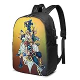 Größe: 17 Zoll (L) x 12 Zoll (B) x 6,7 Zoll (H)