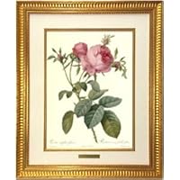 ルドゥーテ バラ複製画（大）レ・ローズ バラ図譜 銘木調の額付き 楽天市場】絵画 インテリア ルドゥーテ ローズ 絵額 複製画