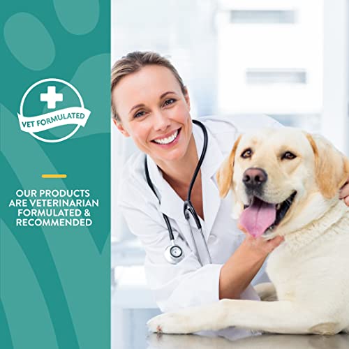 Naturvet Quiet Moments Calming Aid Dog Supplement – Helps Promote Relaxation, Reduce Stress, Storm Anxiety, Motion Sickness For Dogs – Tasty Pet Soft Chews With Melatonin – 70 Ct. #TOP3