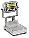 Detecto CA8-30-190 Bench Scale, Electronic, 30 lb. Capacity, Stainless Steel, 190 Indicator, 8" x 8"