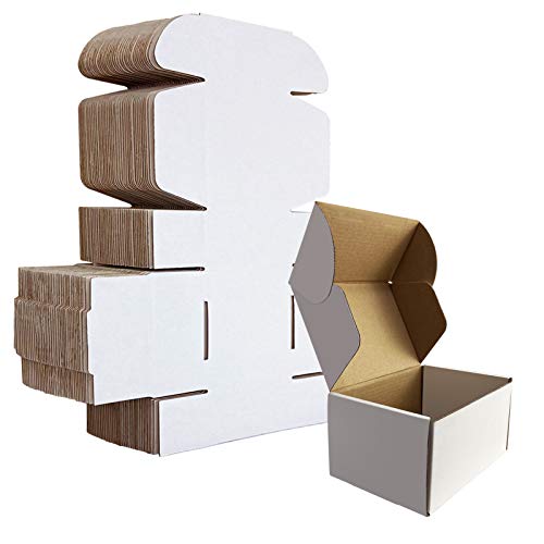 Image of HORLIMER 6x4x3 inches Shipping Boxes Set of 25, White Corrugated Cardboard Box Literature Mailer