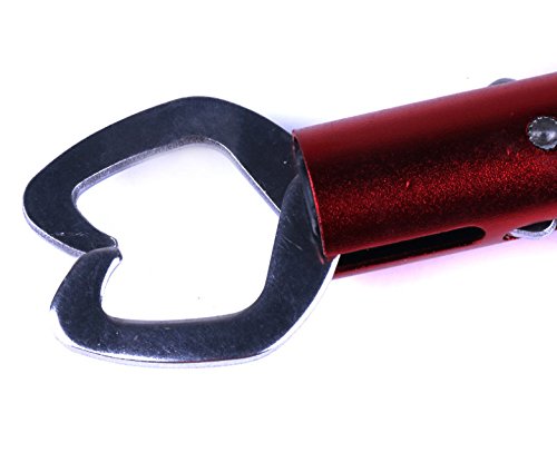 LENPABY 17cm Fish Lip Gripper Fish Scales Professional Fish Holder Stainless Steel Fish Lip Grabber Fish Lip Grip Tool with Weight Scale