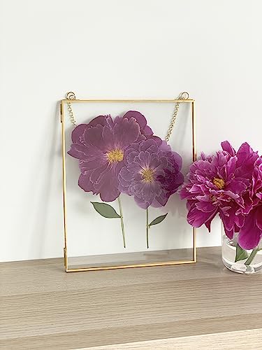 Double Glass Frame for Pressed Flowers, Leaf and Artwork - Set of 2 Hanging Picture Frames, Tempered Glass Floating Pressed Flower Frames, Large Rectangular Wall Decor Photo Display, Clear Metal Glass Frames with Chain (8x10, Gold)