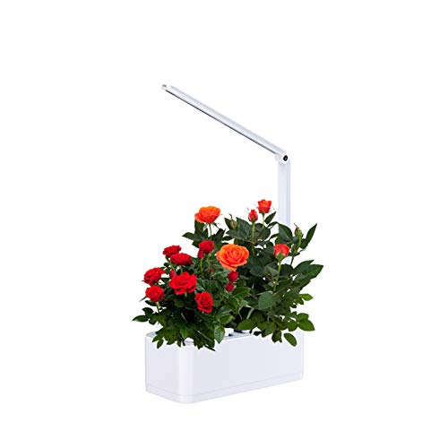 Sistema De Crecimiento De Hidropónicos Led Cultivar Luz Cuerte Interior Herb De Juegos De Interriador Del Juego Planta Kits De Germinación 2 Potes De Plantas Para Marihuana Tomates Cannabis Verduras