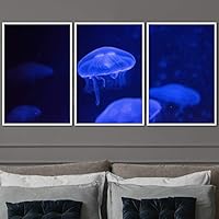 3 Piece Framed Canvas Wall Art Colorful Jellyfish Marine Life Canvas Prints Home Artwork Decoration for Living Room,Bedroom - 16