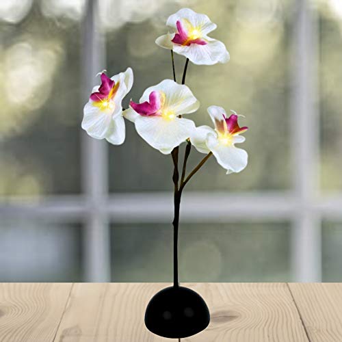 Banberry Designs Artificial Orchid Plant - Lighted White And Purple Silk - 17" H - Battery Powered - Party Accents - Wedding Decorations - Mothers Day Arrangement - Decorative Home Décor #TOP23