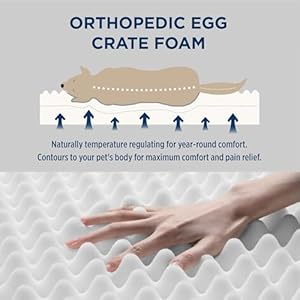 Bedsure Dog Bed for Large Dogs - Orthopedic Waterproof Puppy Beds with Removable Washable Cover, Egg Crate Foam Pet Mat, Suitable for Pet Up to 65 lbs Bedsure Dog Bed for Large Dogs Orthopedic Waterproof Puppy Beds with Removable Washable Cover Egg Crate Foam Pet Mat Suitable for Pet Up to 65 lbs