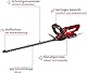 Einhell Akku-Heckenschere GC-CH 1855/1 Li Kit Power X-Change (18 V, 55 cm Schnittlänge, 18 mm Zahnabstand, drehbarer Handgriff, Schnittgutsammler, inkl. 2,5 Ah Akku & Ladegerät)