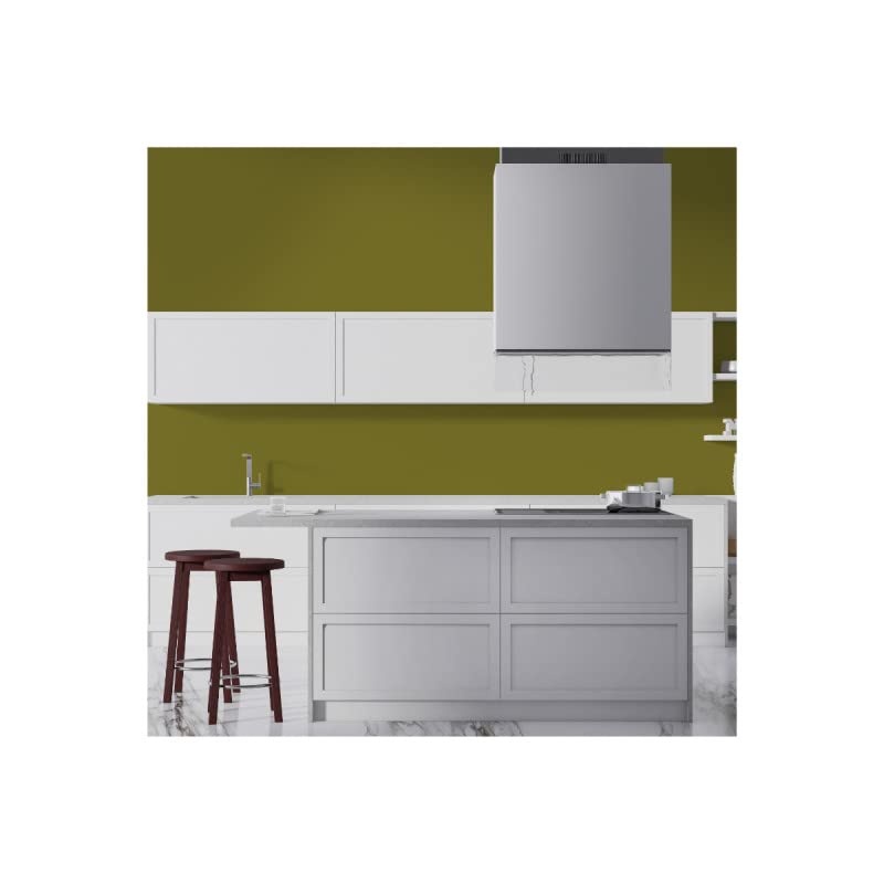 Peinture Vert Kaki Acrylique Brexit - Aspect Satin - Peinture Mur, Plafond, Boiserie & Balcon - Lessivable - Séchage En 30 min - COV A+ - Fabriquée En France - 5 L - BARBOUILLE