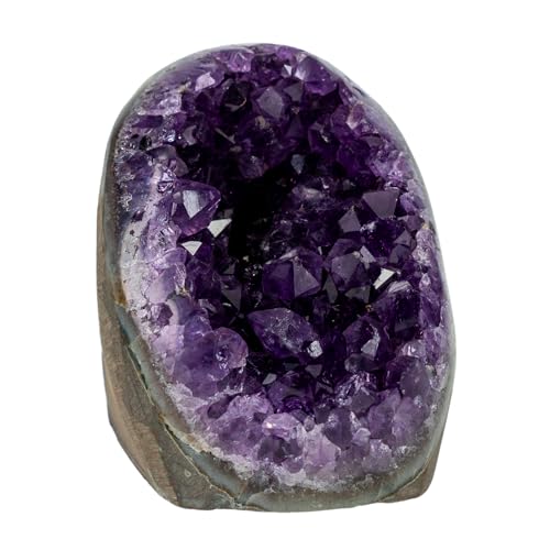 TRUENERGY Polished Amethyst Cluster Quartz Crystal 0.25 To 0.5 lbs Grade A+ Raw Dark Purple Geode Stone With Rounded Edge Home Decoration Meditation Healing and Positive Energy (0.25-0.5 lb)