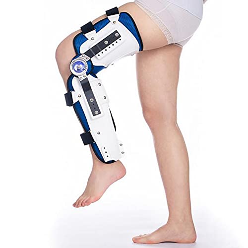 G񑫑 r̍܁AGT|[gu[X ߉\ȕG ֐߉A֐ߑA`Oȃnre[V - Er܂͍rɃtBbg