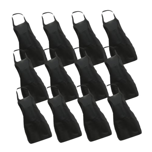 FUTUREORYY 12 ĝĖnsDGv jphϋvLb` o[xL[ GƗp