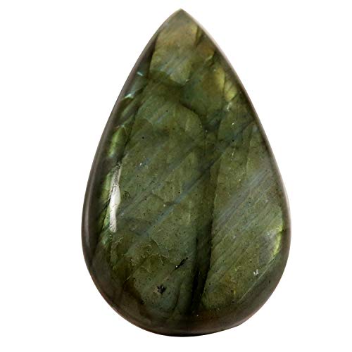 �C���h�����u���h���C�g �� �V�R ���[�X ��� 64.4�J���b�g Of22-B08TWTCXTV