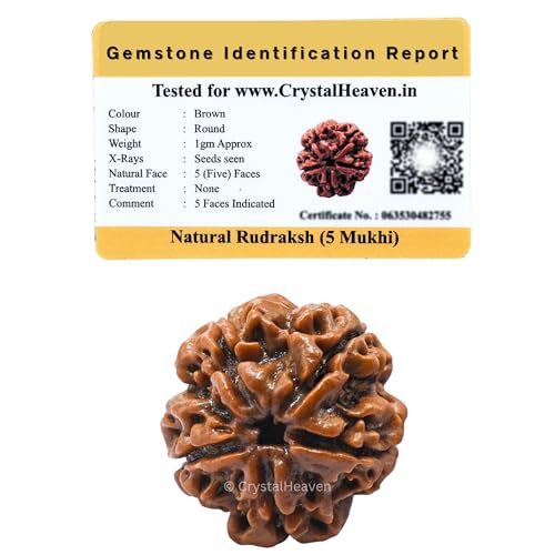 Crystal Heaven 5 Mukhi Rudraksha Original Certified Bead - Natura...