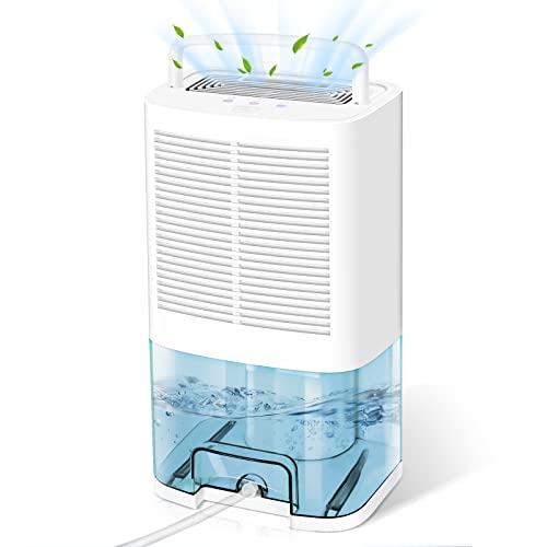 Best Dehumidifiers Canada Best Cost
