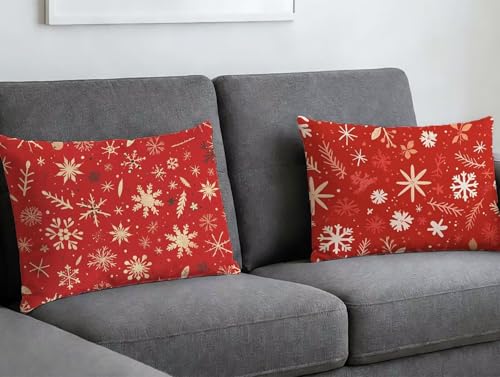Coussin velours 60x90 rouge de qualité supérieure avec impression double face
