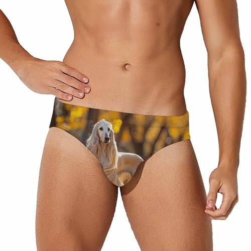 Afghan Hound with Long Hair Novelty Men's Brief Swimwear Pants Swimming Trunks Beach Shorts Underwear