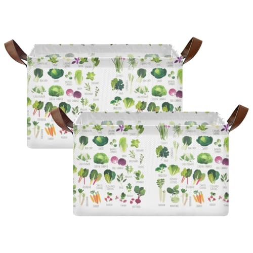 Seamless Collection of Various Vegetables and Common Herbs on White 2PC Rectangle Foldable Frame Basket Leather Handles Storage Bin for Laundry Bathroom Organizer M 16.9 x 11.4 x 10 inch