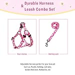 QQPETS Dog Harness Leash Set Adjustable Heavy Duty No Pull Halter Harnesses for Small Medium Large Breed Dogs Back Clip Anti-Twist Perfect for Walking (XS(12"-18" Chest Girth), Daisy) - Image 4