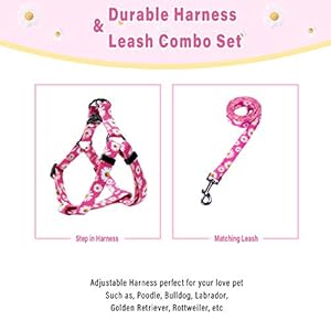 QQPETS Dog Harness Leash Set Adjustable Heavy Duty No Pull Halter Harnesses for Small Medium Large Breed Dogs Back Clip Anti-Twist Perfect for Walking (XS(12"-18" Chest Girth), Daisy) QQPETS Dog Harness Leash Set Adjustable Heavy Duty No Pull Halter Harnesses for Small Medium Large Breed Dogs Back Clip Anti Twist Perfect for Walking XS12 18 Chest Girth Daisy