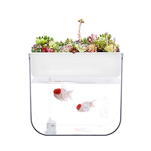 Aquaponik Anlage kaufen Die 15 besten Produkte im Vergleich