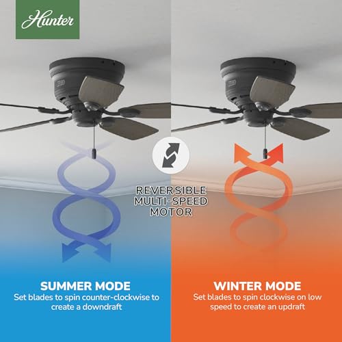 Image of Hunter Low Profile IV, Indoor, Ceiling Fan, No Light, 42 inch, Matte Black