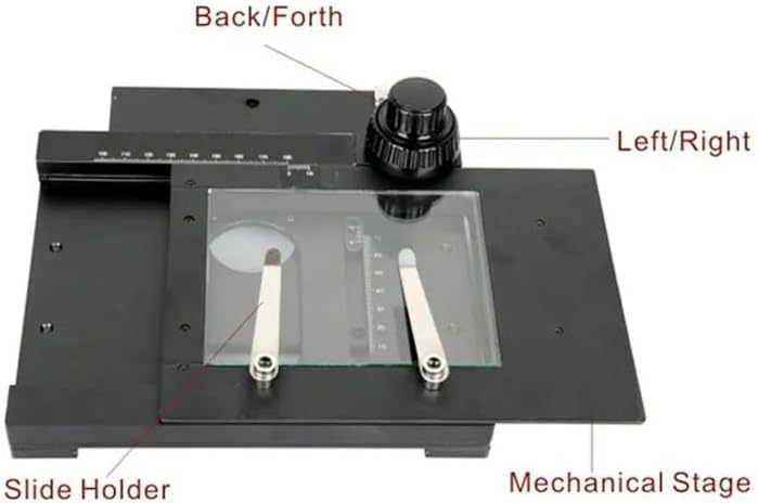 プジョー PX-8 1964-1965 MINI – Bavarian Motor Works
