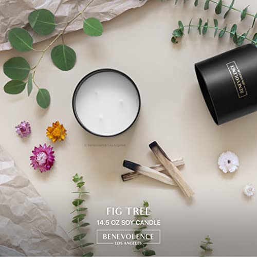 Premium 3 Wick Candle, Fig Tree Large Candle, Scented Candles For Home Scented, 14.05 Oz 50 Hour Burn Time, All Natural Soy Candle, Aromatherapy Candles Gifts For Women #TOP1