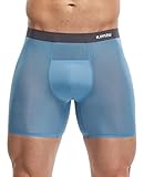 KAYIZU Men's Underwear Breathable Cool and Quick-Drying Boxer Briefs Sky Blue Large