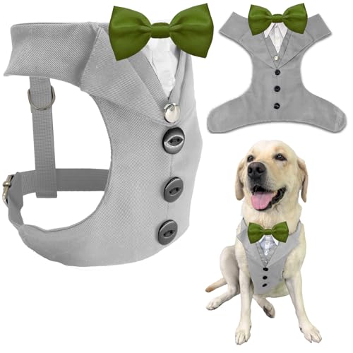 AVERYDAY �� �^�L�V�[�h �������� ���̃X�[�c �l�N�^�C �R�X�`���[�� �a���� �n���E�B�� �R�X�v�� �N���X�}�X �p�[�e�B�[ �y�b�g �t�H�[�}���E�F�A ���l�N�^�C�t�� �^�L�V�[�h ���^�� ��^�� �u���h�b�O ���u���h�[���E�n�X�L�[