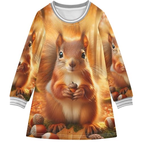 Cute Corgi Dog Fashion Girls Fall Sweater Dress 2t Girl Winter Clothes Long Sleeve Floral Dress for Girls