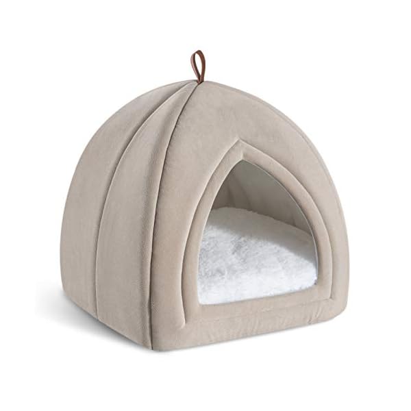 Outdoor Dog Tent Bed