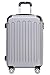 Produktbild BEIBYE Zwillingsrollen Hardcase Reisekoffer Koffer Trolleys Hartschale in XL-L-M in 14 Farben (Silber, Handgepäck (55cm))