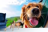 Golden Retriever Wandtapete | Wandtapete | Wandbild | Tapete | Verschiedene Maße 150 x 100 cm | Dekoration für Esszimmer, Wohnzimmer, Schlafzimmer