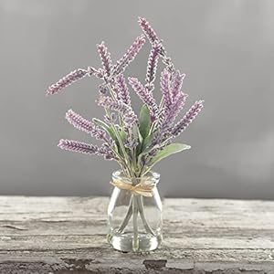 Vase - Lavender Vase Lavender