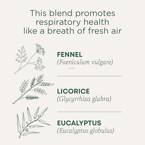 Traditional Medicinals TD0001 Breathe Easy Tea, 16 Count Tea Bags thumb #1