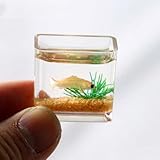 Decorazione: accessorio ideale per abbellire case delle bambole, case delle bambole e paesaggi abitativi in miniatura in scala 1:12