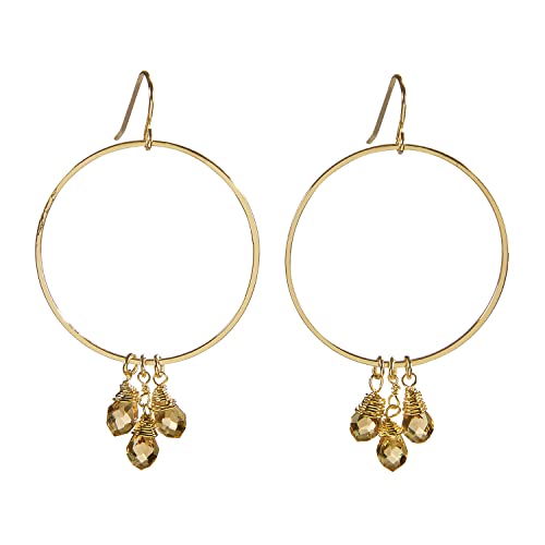 Santa Barbara Design Studio Fleur Jewelry Crystal Dangle Hoop Earrings, 1-Pair, Radiant