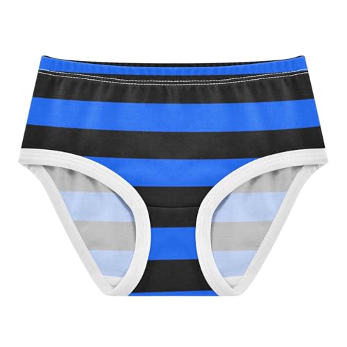 Black Blue Stripe Toddler Girls's Underwear 2T