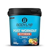 Bodylab24 Post-Workout Booster Extreme Fruchtmix 500g, mit Aminosäuren (darunter die BCAA im Verhältnis 2:1:1), Vitamine, Mineralstoffe & Kreatin, ideal zur schnellen Regeneration nach dem Training