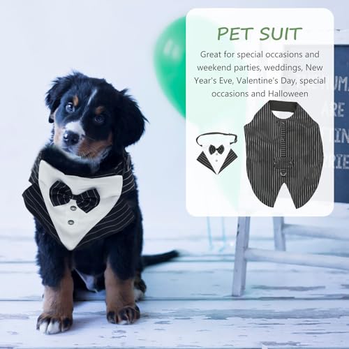 Set de disfraz perro XXL con pajarita y pañuelo miniatura 4